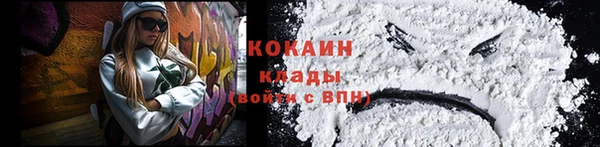 соль ск Волосово