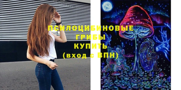 соль ск Волосово