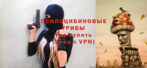 соль ск Волосово