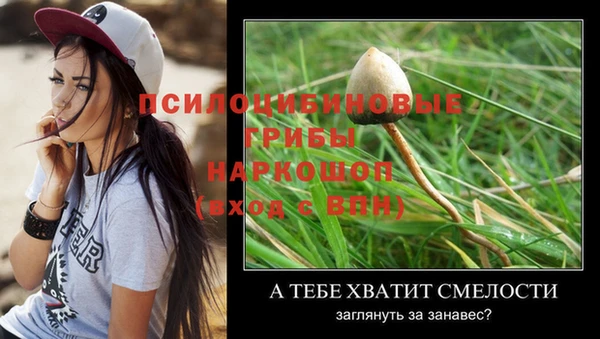 соль ск Волосово