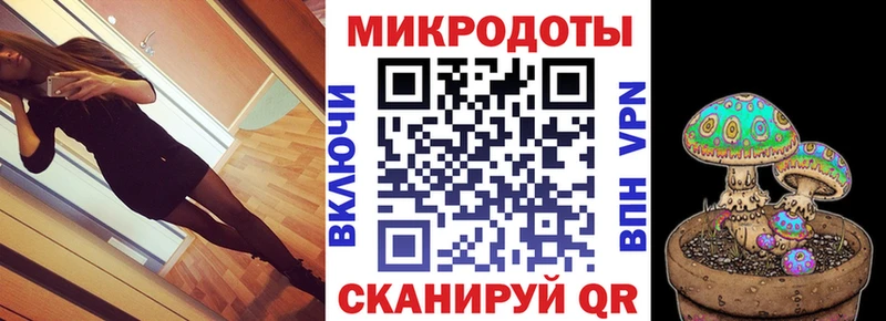 магазин    Назрань  Псилоцибиновые грибы GOLDEN TEACHER 